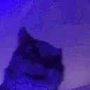 Ermsane emote for Discord