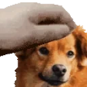 epic emote for Discord