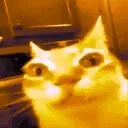 ermdeluxe emote for Discord