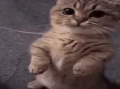 errr emote for Discord