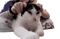 epsonHandles emote for Discord