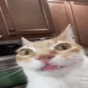 ErmWhat emote for Discord