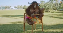 epicfall emote for Discord