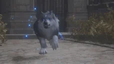 EpicWolf emote for Discord