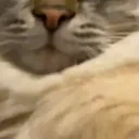 Ep1czaya emote for Discord