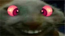 epp emote for Discord