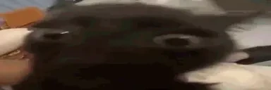 Epilepsy emote for Discord