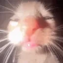 ermMing emote for Discord