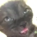 erm emote for Discord