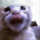 erm emote for Discord