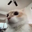 erm emote for Discord