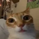 ermStare emote for Discord