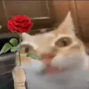 Ermance emote for Discord