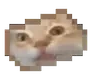 ern emote for Discord