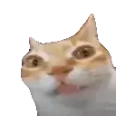 ermAware emote for Discord