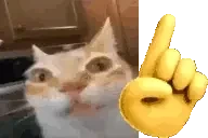 ErmNuhUh emote for Discord