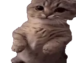 errr emote for Discord