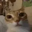 ermStare emote for Discord