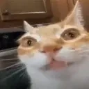 ermPhotograph emote for Discord