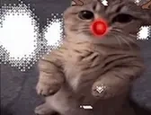 errr emote for Discord