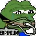 erpinium emote for Discord