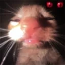 ermM emote for Discord