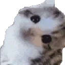 erming emote for Discord