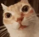 ermplode emote for Discord