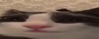 Ermm emote for Discord