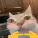 ermShy emote for Discord