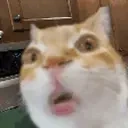 ErmSingingAtYou emote for Discord