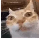 ermPanic emote for Discord