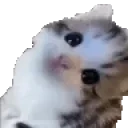 ermcat emote for Discord