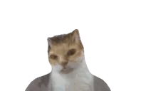 ermNotL emote for Discord