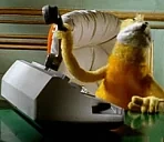 EricPls emote for Discord