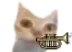 erToot emote for Discord