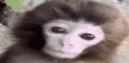 errrm emote for Discord