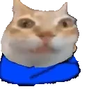 ermiClapping emote for Discord