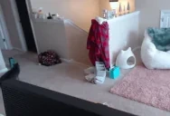 ericaRun emote for Discord