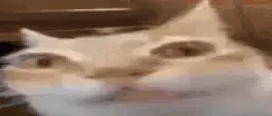 ermmm emote for Discord