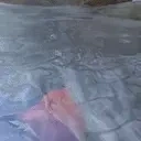 erinPerform emote for Discord