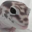 ErosLick2 emote for Discord