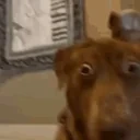 ErmGuys emote for Discord