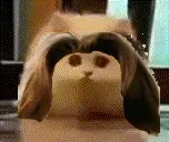 erarunningatyou emote for Discord