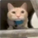 ermm emote for Discord