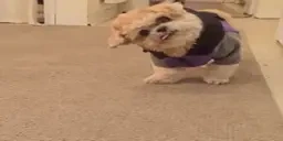 ermWhat emote for Discord