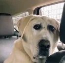 erm emote for Discord