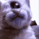 erm0 emote for Discord