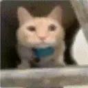 ermok emote for Discord