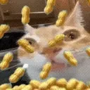 Ermzzz96 emote for Discord